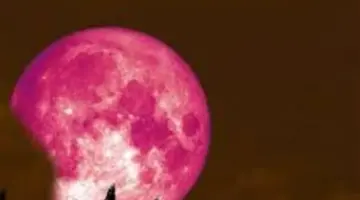 الدليل الشامل لمتابعة القمر الوردي 2026: توقيت الظهور وكيفية رصده بالعين المجردة